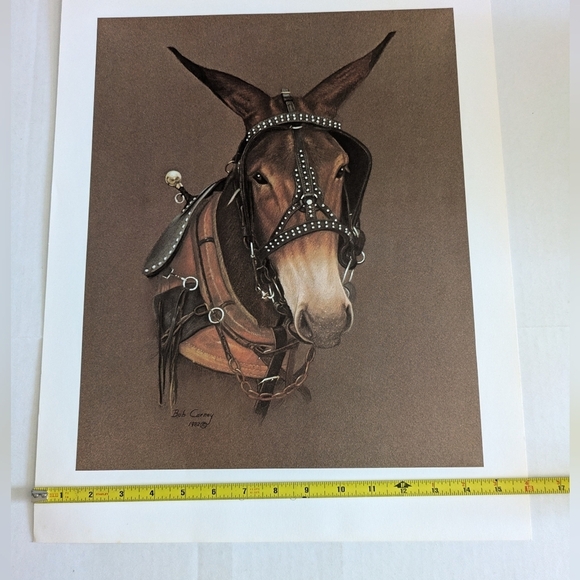 Bob Carney Print 1980s. Equestrian Subject. Nashville Tennessee - Picture 5 of 6